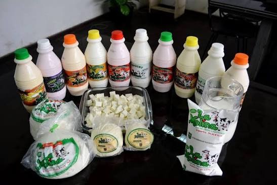Elaboración de Yogur y Queso: Procesamiento de Productos Lácteos